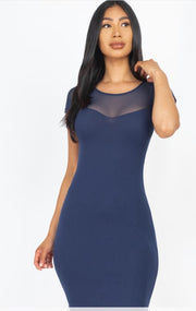 Sheer Meshed Bodycon Dress