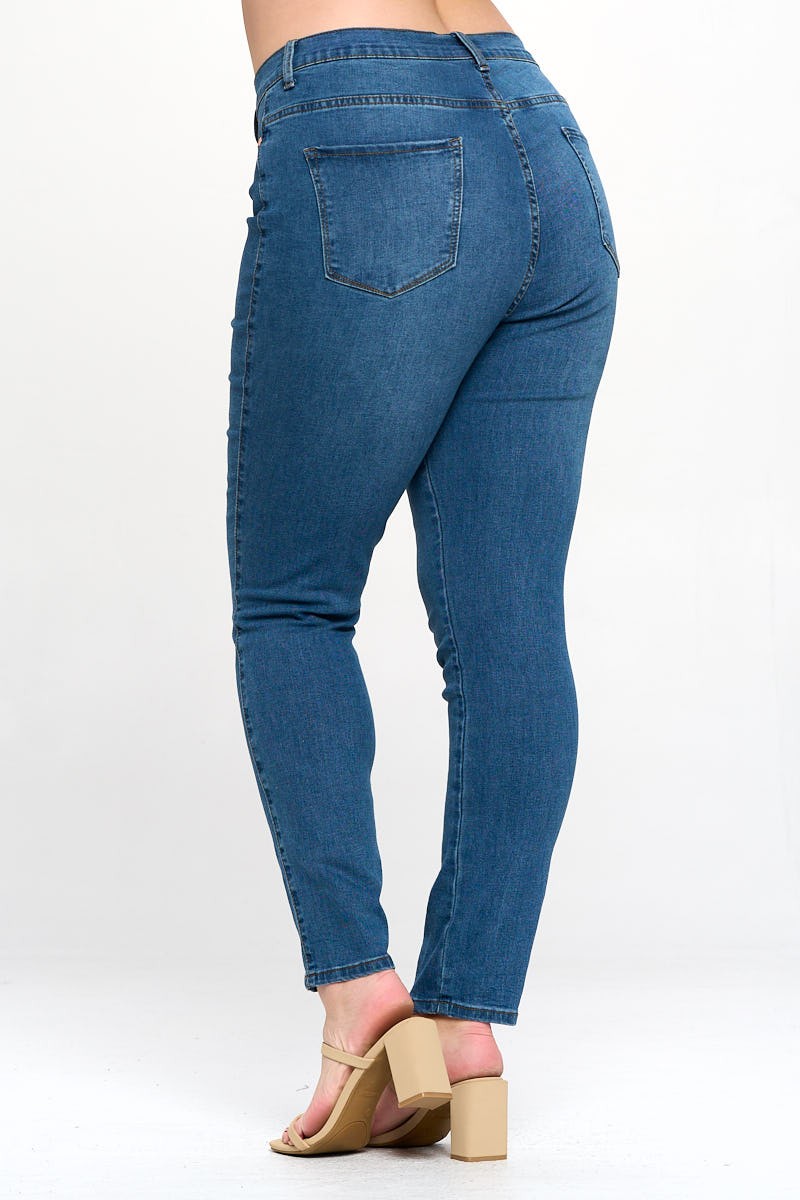 High Waist Plus Skinny Jeans